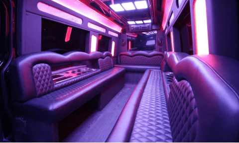 Loveland 14 Passenger Sprinter Bus Interior