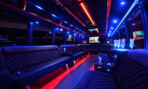 Centennial 30 Passenger Party Bus Black Interior